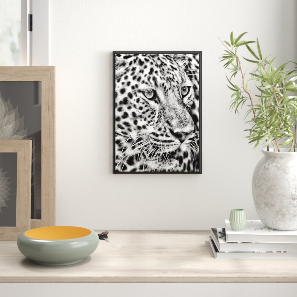 Gerahmtes Wandbild Weißer Leopard