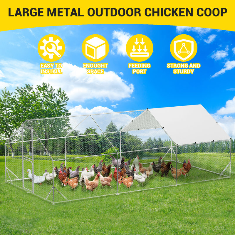Chicken Run