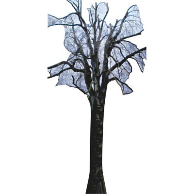 H13677 Arbre debout Anne Frank's