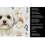 Torchon blanc et crème Bichon Frise-1234934640