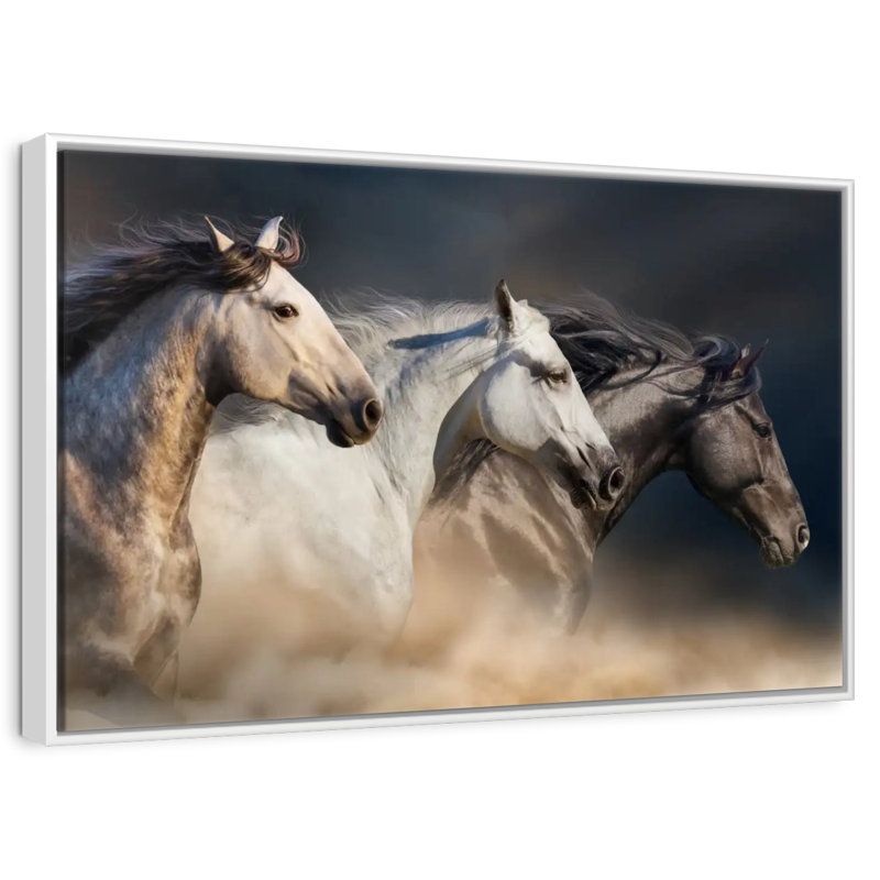 Chevaux magnifiques, Cadre flottant blanc, 37 po x 25 po