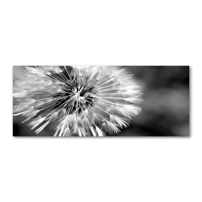 Dandelions - Wrapped Canvas Print