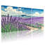Lavande champ ciel montagnes réflexion chemin verdure ensemble de 3 impressions d'art sur toile-1860657915