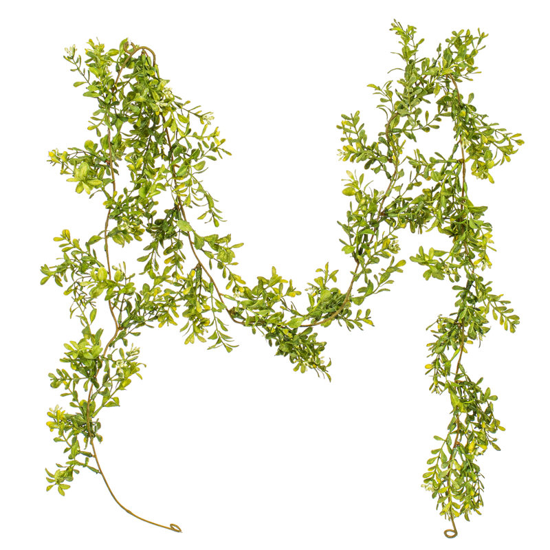 Guirlande 6 'Boxwood