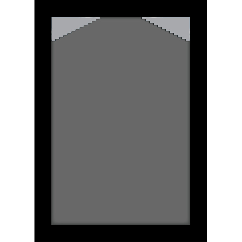 Gilboa Wood Matte Picture Frame with Mat, Black