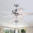 Vieira 52'' Ceiling Fan with Light Kit