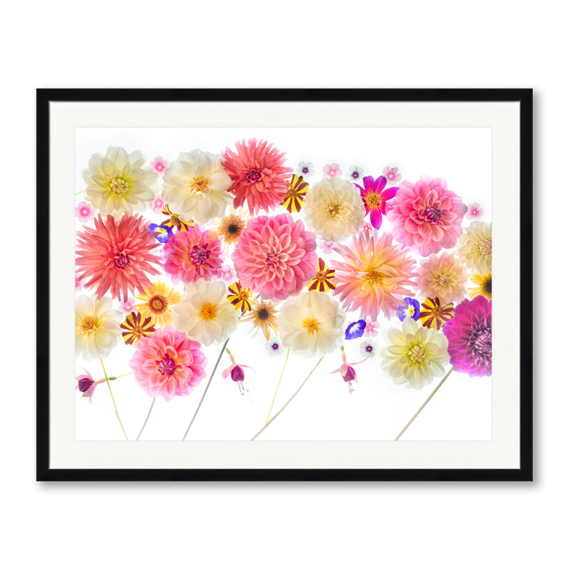 Melody With Dahlia Print by Harold Davis, Black Framed Paper, 30" H x 24" W