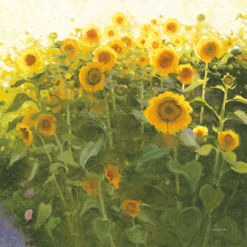 Sunflower Field by Shirley Novak - Wrapped Canvas Painting, 91cm H x 91cm W x 3.8cm D