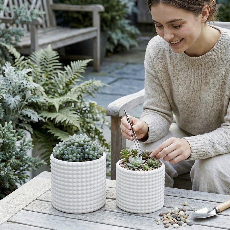 Nicolaus Ceramic Pot Planter Set of 2, White