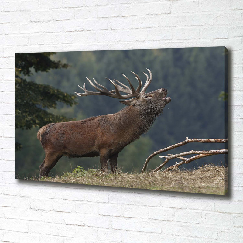 Deer on the hill 1 Piece Wrapped Canvas Wall Art