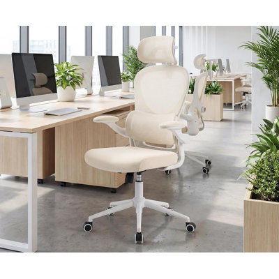 Ergonomic Mesh Office Chair with Adjustable Lumbar Support, 4D Headrest and Swivel Casters, High Back Computer Desk Chair for Home Workspace