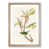 Oak Framed selected