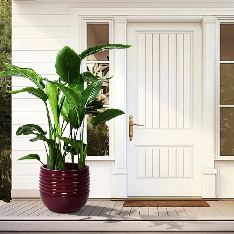 3 Pieces Ceramic Flowerpot, Bean Paste Red Modern Planter For Patio, Garden, Windowsills - Frost-, Heat-, Weather- With Built-In Drainage Hole, 14.36" L X W 12.33" H, 42.98 Lbs Sleek Design,