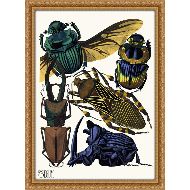 Insectes Pl.07 (1929)