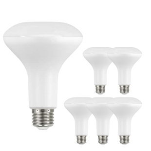 Ecosmart 65-watt Equivalent Br30 Dimmable Flood Led Light Bulb Daylight (6-pack)