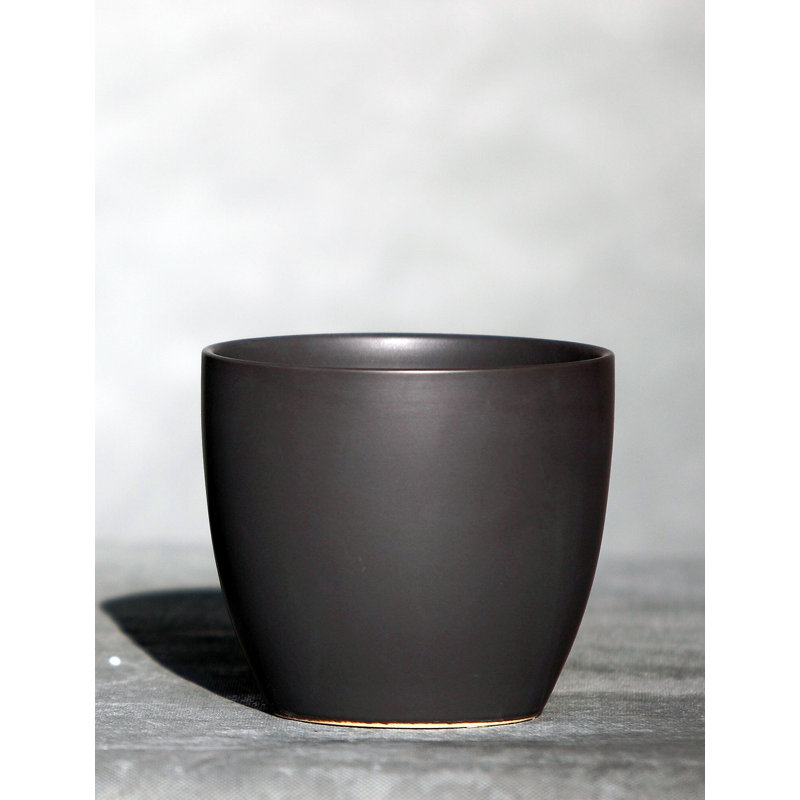 Cache-pot Peace Lily , Matte Cool Grey