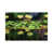 Wrapped Canvas selected