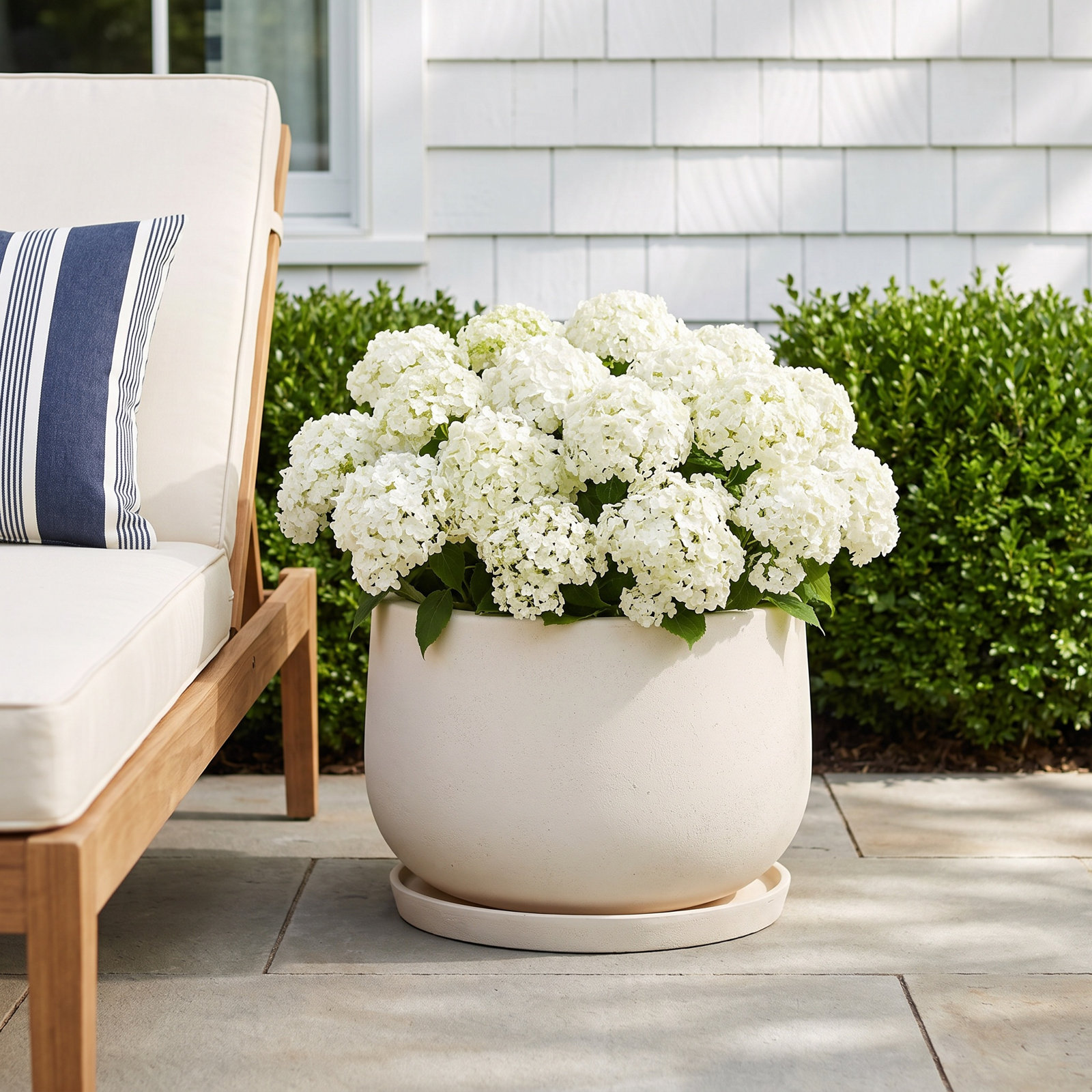 Cailie Pot Planter, 17" H x 24.5" W x 24.5" D