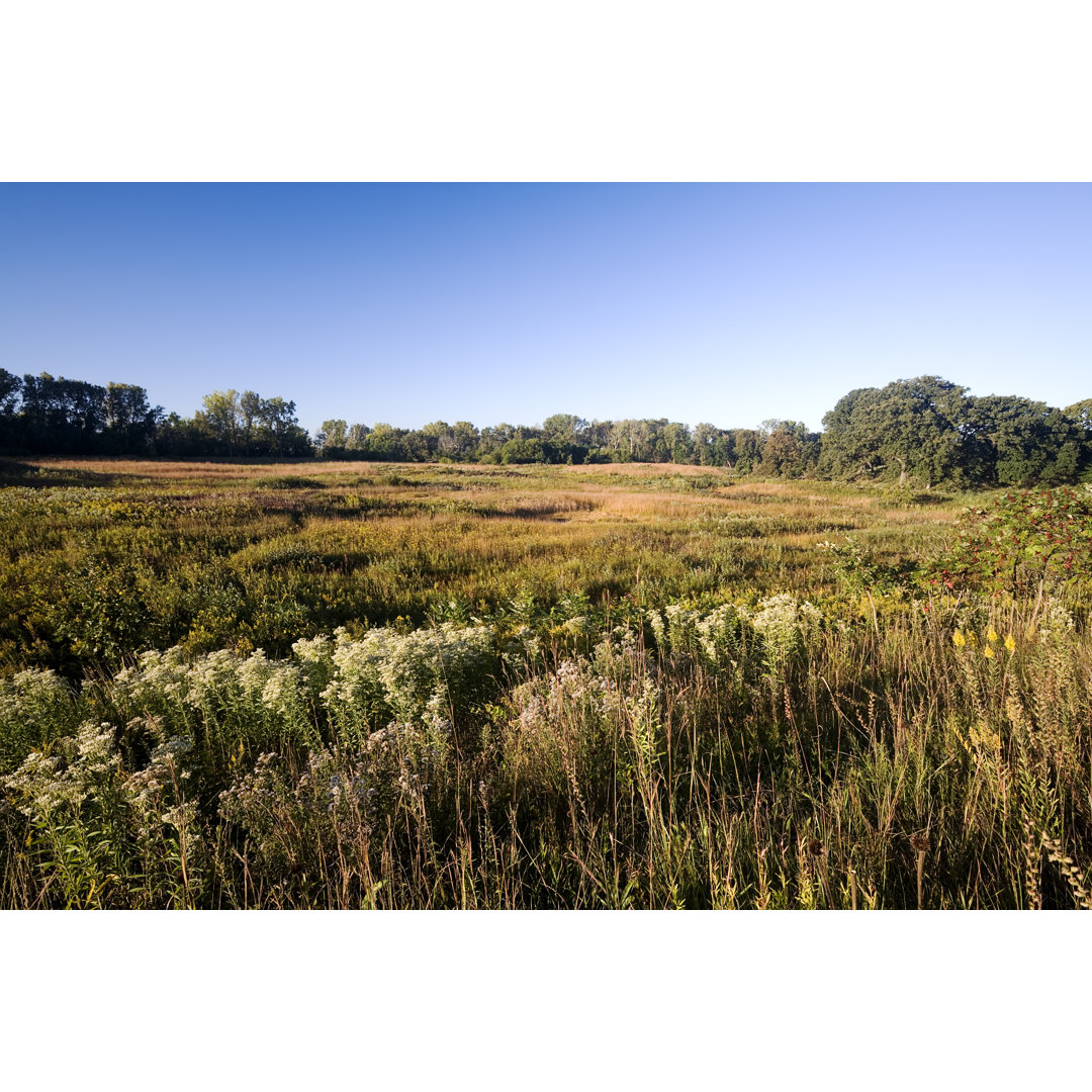 Spätsommer am Fen von Stevegeer - Drucken