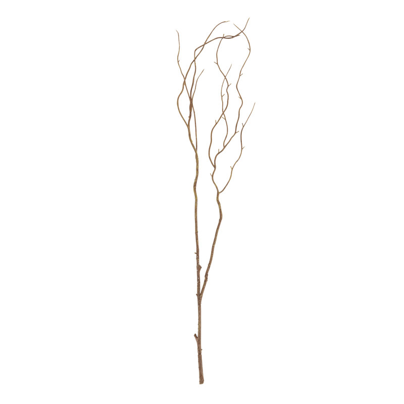 Ensemble de 12 fleurs Willow Twig