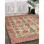 Tapis en laine beige / brun-2010804432