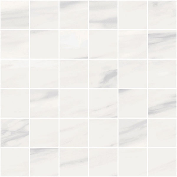 2" x 2" Porcelain Grid Wall & Floor Tile