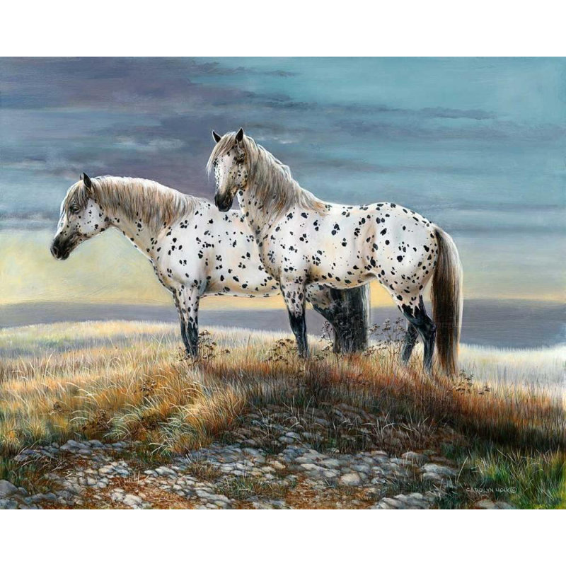 «Red Barrel Studio® Mock, Carolyn», reproduction d'art sur toile sous le titre Appaloosa Sundown, H 20 po x l 24 po