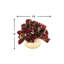 Burgundy Hydrangea With Bow Holiday Arrangement