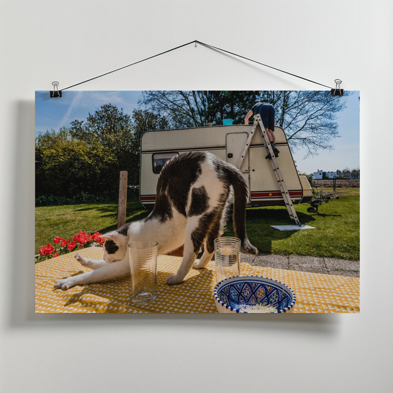 Wrapped Canvas Print, 50.8 cm H x 76.2 cm W