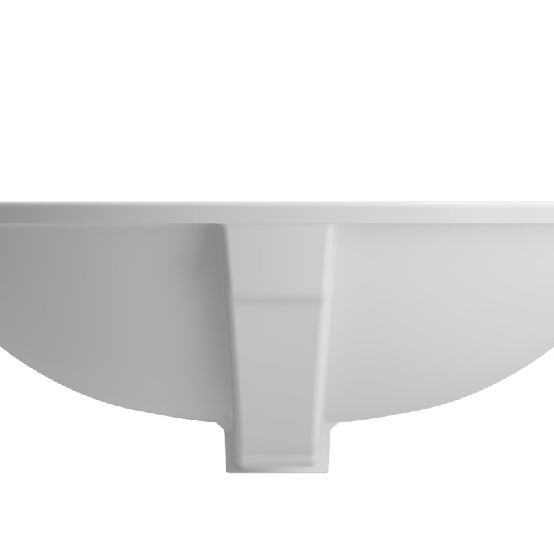 Parma 22.4'' L Bathroom Sink, Matte White