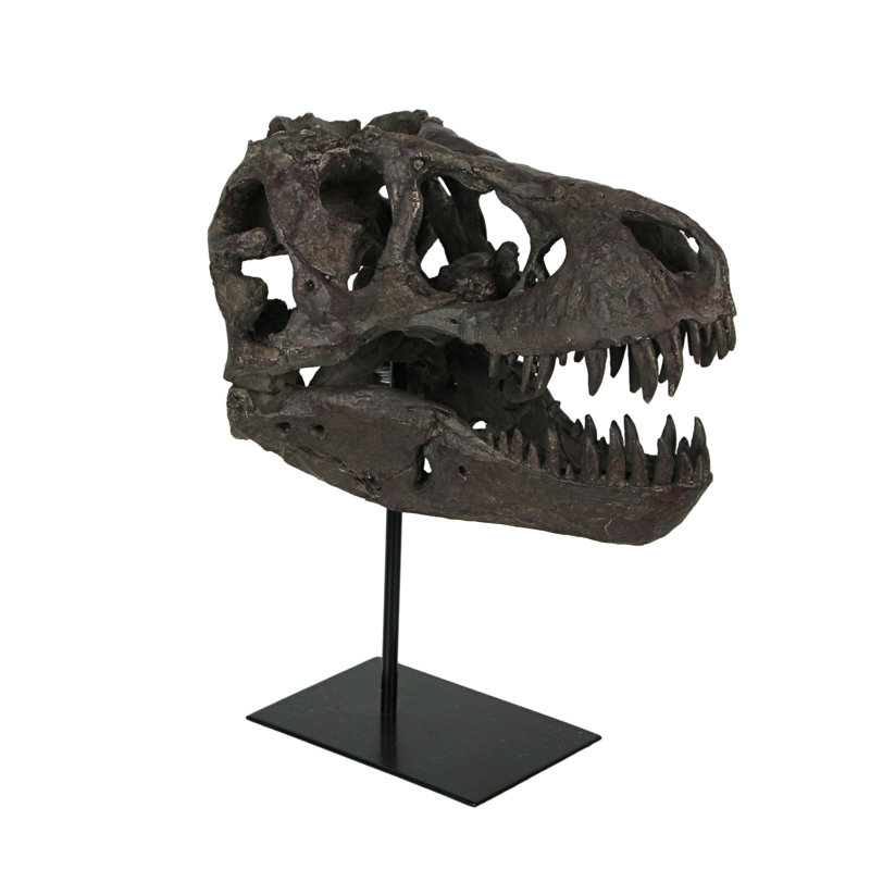 Figurine de fossile Tyrannosaurus Rex T-Rex