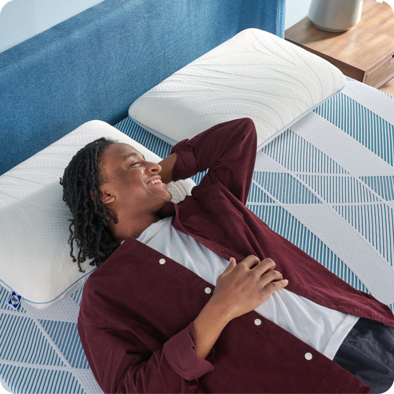 Sealy Dreamlife 12" Gray Gel Memory Foam Queen Mattress