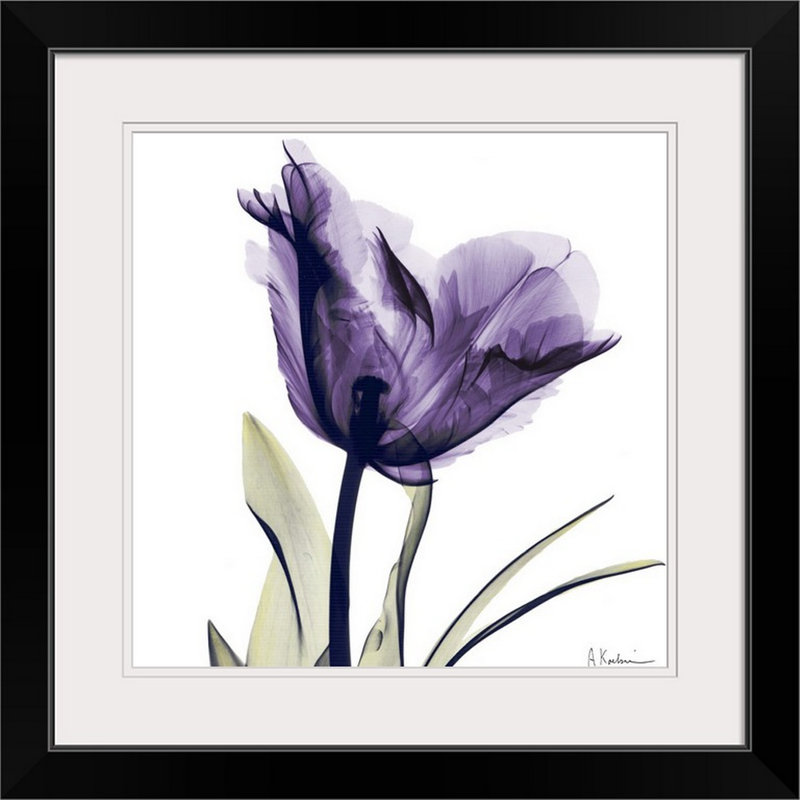 «Manigault», fleur mauve par Kiranjit, reproduction de photo, Cadre noir, H 24 po x l 24 po x P 1 po