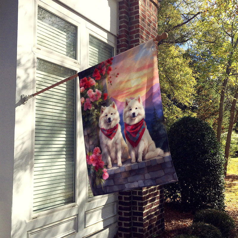 Double Sided 40'' H x 28'' W Polyester Valentine's Day House Flag