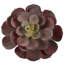 Ensemble de 12 plantes succulentes artificielles Echeveria-1866316393-1866316375