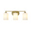 3 - Light Vanity Light
