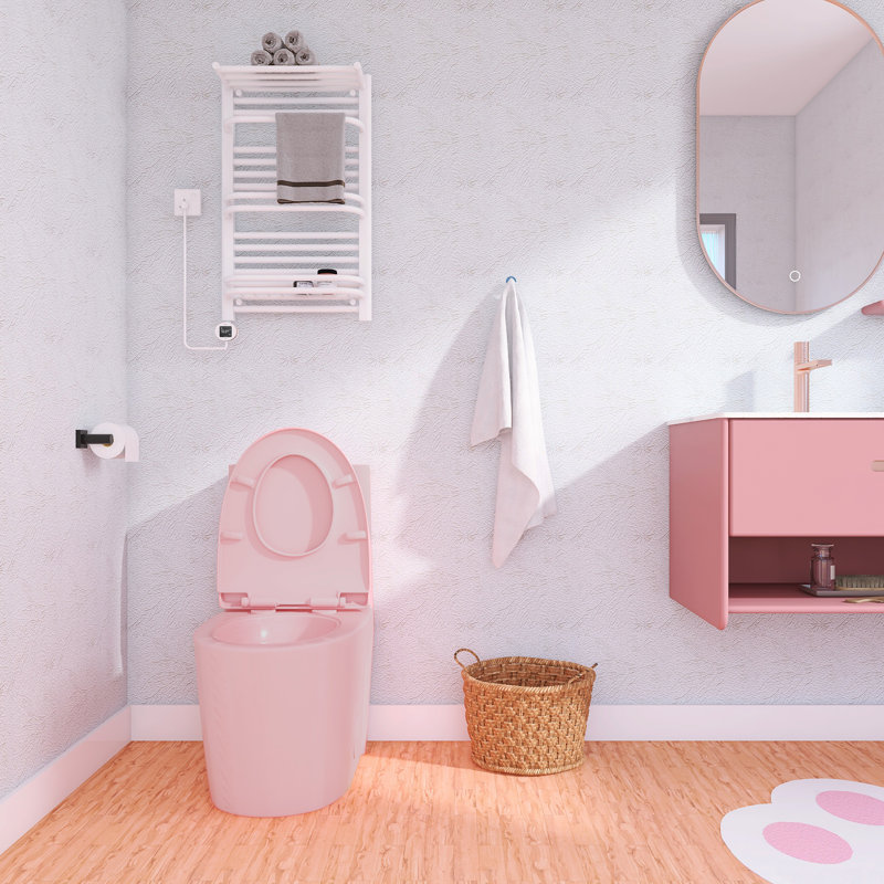 1.1/1.6 GPF Dual Flush Toilet, Comfort Height Elongated One Piece, Soft Close 1000g Map Flushing, Water Saving Floor Mounted