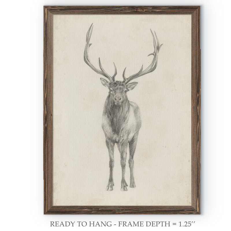 « elk study » par paul cezanne-photo-cadre, reproduction d’art, H 30 po x l 22 po x P 1,25 po, Cadre de toiles encadrées moka