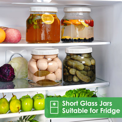 Syntic Wide Mouth Vintage Mason Craft Glass jars with Airtight Screw Lids Clear (Set of 2)