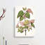 Pink Flowering Flowers by Sarah Featon - Wrapped Canvas Painting-55330785