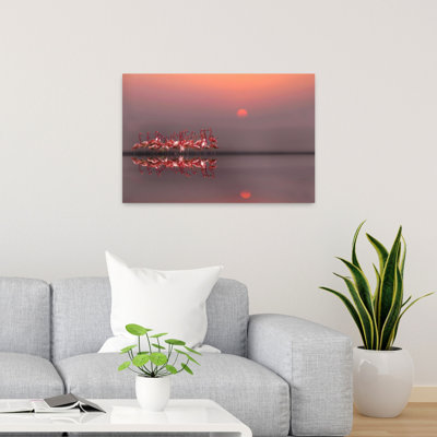 Flamants roses au coucher du soleil