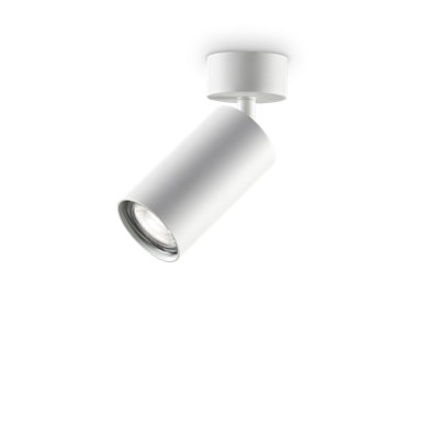 Dynamite Flush Mount