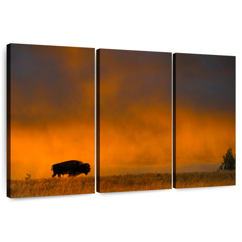 Bison d'Alvord dans le parc national Theodore Roosevelt, H 32 po x l 50 po