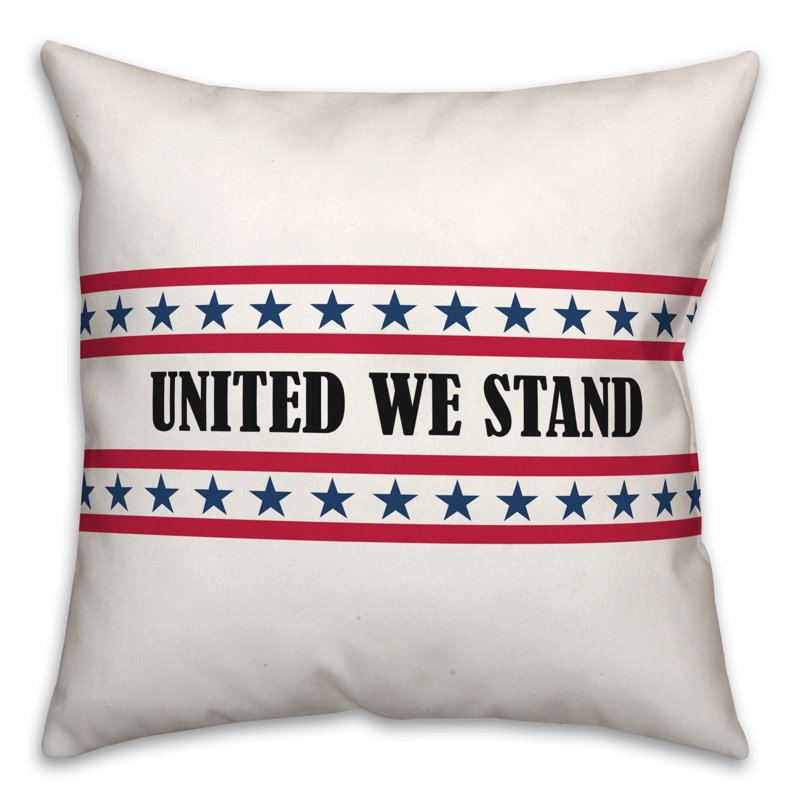  Polyester/Polyester Blend Lumbar Rectangular Indoor Pillow Cover & Insert, 16" x 16"