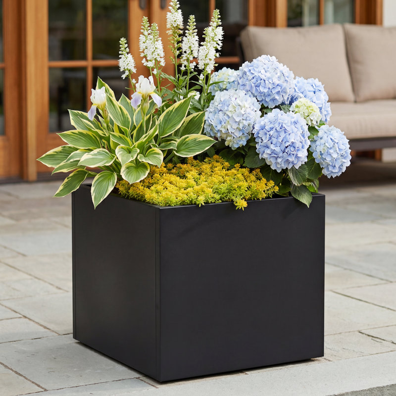 Boîte à fleurs en métal avec trous de drainage Giorgi, H 18 po x l 17 po x P 17 po