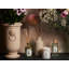 Rose Mint Diffuser-912583408