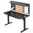 Larreon 55" Electric Height Adjustable Standing Desk-793749254-793749248-793749374