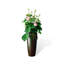 Nouveau pot de céramique lotus chinois plante verte