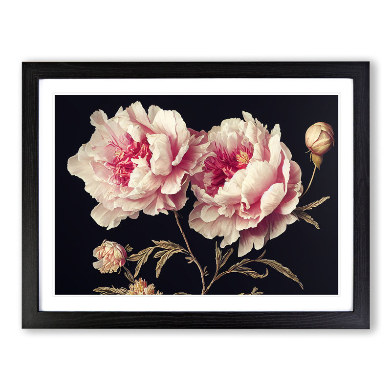 XH1022-9695X Vivacious Peony Flowers - Single Picture Frame Print, 46cm H x 64cm W x 2cm D, Black Framed