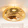 Aylmer 19" 7-Blade Modern Bladeless Caged Ceiling Fan with Lights and Remote